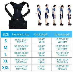 Royal Posture – Normal Size #5